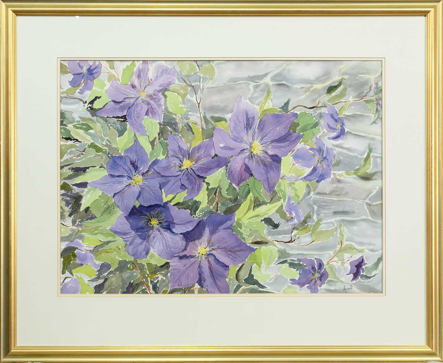 * ANNIS ANDERSON, CLEMATIS
