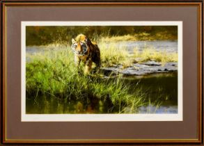 DAVID SHEPHERD, THE BANDIPUR TIGER