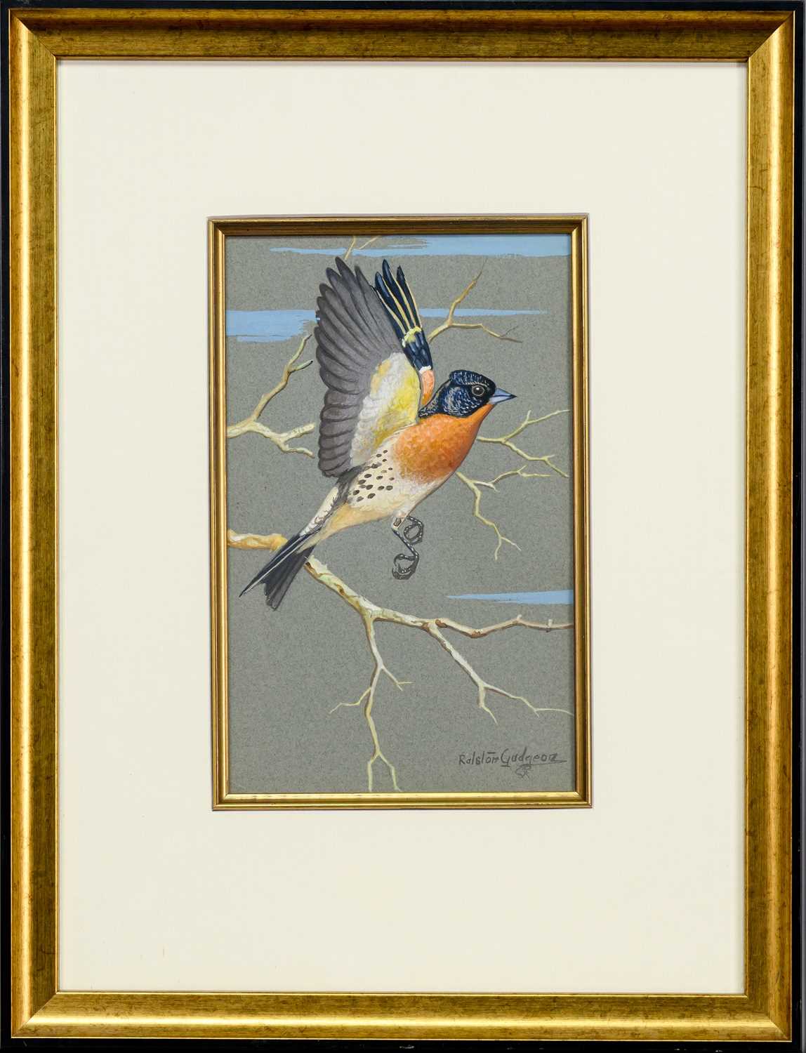 * RALSTON GUDGEON RSW (SCOTTISH 1910 - 1984), BRAMBLING