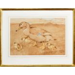 * RALSTON GUDGEON RSW (SCOTTISH 1910 - 1984), DUCK AND DUCKLINGS