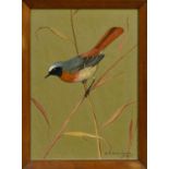 * RALSTON GUDGEON RSW (SCOTTISH 1910 - 1984), REDSTART