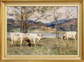 ANDREW DOUGLAS (SCOTTISH 1870 - 1935), CATTLE GRAZING