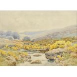 William Sidney Morrish (1844-1917) - Gorse Bushes by a Moorland Stream, signed, watercolour, 25.5