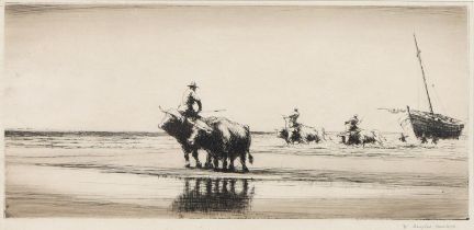 William Douglas Macleod (1892-1963) - Working Oxen, the margin signed in pencil, n.d., etching, 17 x