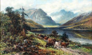 F Allen (Fl. late 19th / early 20th c) - Highland Cattle, signed, oil on canvas, 29.5 x 49cm Pinhead