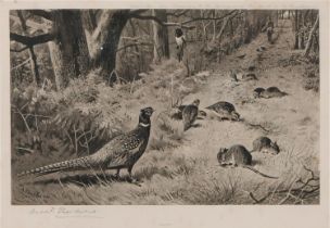 Archibald Thorburn (1860-1935) - Pheasants; Partridge, a set of three, Goupiltints, published by The