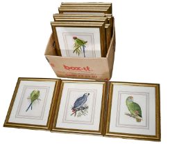 A set of twelve Victorian ornithological prints by W Greene, 20 x 16.5cm, gilt frames Good