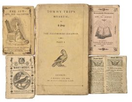 Children's and Juvenile Books. [Natural history, ornithology] Tommy Trip's Museum; or, A Peep at the