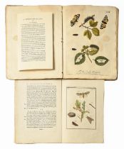 Natural History, Entomology. Plates I-L from Albin's and Derham's A Natural History of English
