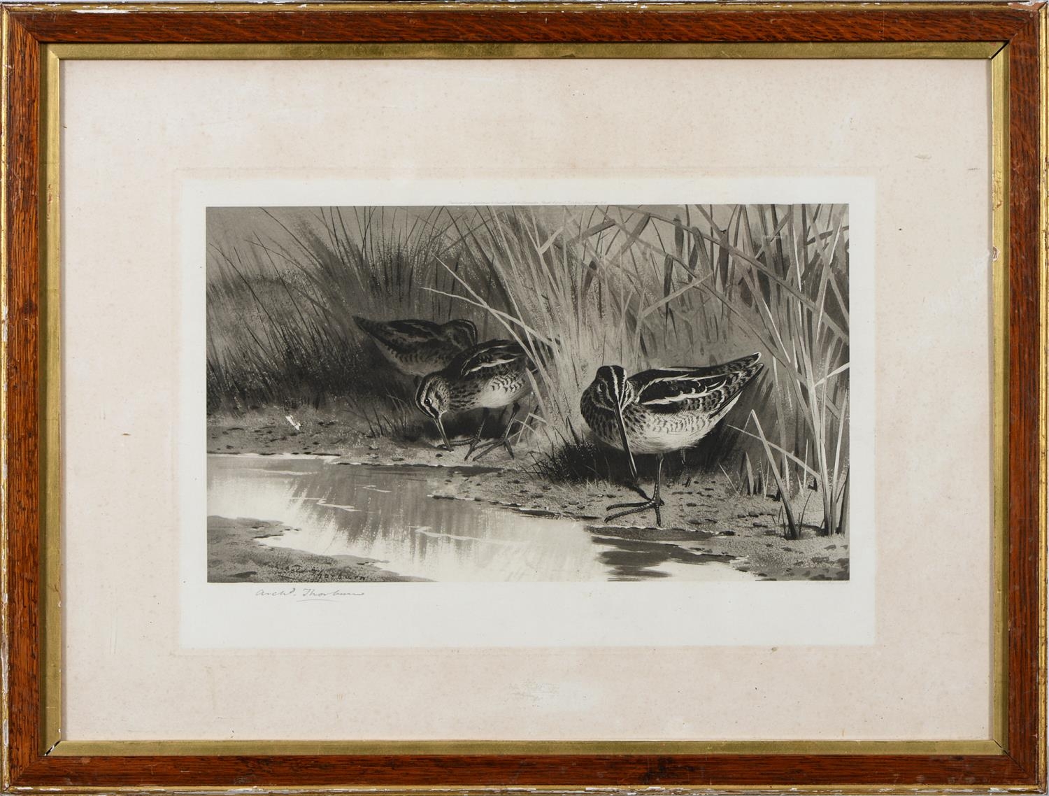 Archibald Thorburn (1860-1935) - Game Birds and Wild Fowl,  photogravures, a set of five, by the - Image 10 of 11