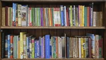 Books. Fourteen shelves of miscellaneous children's books, 19th c and later, including Ladybird