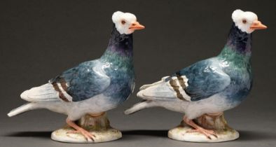 Two Meissen models of pigeons, late 19th c, 18cm h, impressed numbers, incised C52, underglaze