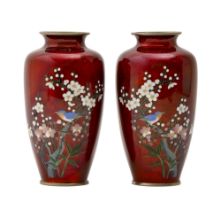 A pair of Japanese cloisonne enamel baluster vases, 20th c, with kingfishers and cherry blossom,