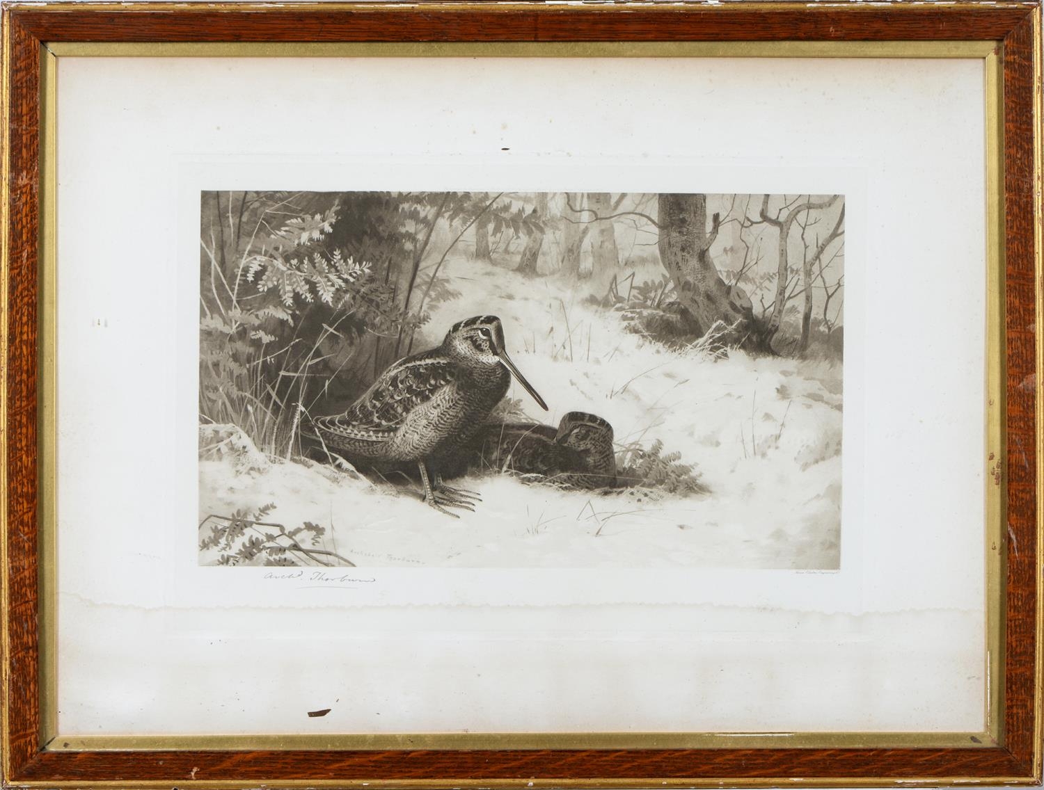 Archibald Thorburn (1860-1935) - Game Birds and Wild Fowl,  photogravures, a set of five, by the - Image 4 of 11