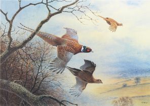 Peter Allis (b. 1944) - Pheasants; Grouse, a pair, signed and with numbered limitation by the artist