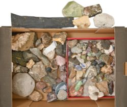 A collection of minerals and other natural history specimens