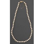 A single row cultured pearl necklace, of approx. 6mm cultured pearls, 9ct gold bow clasp, 21g Good