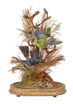 Victorian taxidermy. Three birds amidst grasses, on giltwood stand beneath glass dome, 35cm h