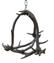 A deer's antler hanging chandelier, incomplete, 56cm diam Antlers - good condition, drilled for