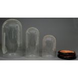 Three Victorian glass domes and a pair of turned wood stands, largest 51cm h