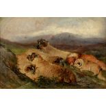 Follower of Sir Edwin Landseer - Sheep and Dogs on a Hillside, indistinctly signed, oil on board, 24