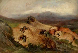 Follower of Sir Edwin Landseer - Sheep and Dogs on a Hillside, indistinctly signed, oil on board, 24