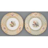 A pair of Minton ornithological subject plates, c1840, of blind trellis moulded shape, painted by