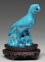 A Chinese turquoise glazed biscuit model of a parrot, 19th c or later, 14cm h Glaze chipped where