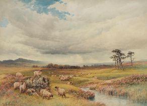 Paul Bert... - Sheep in an Extensive Landscape, signed, watercolour, 34.5 x 50cm Good condition,