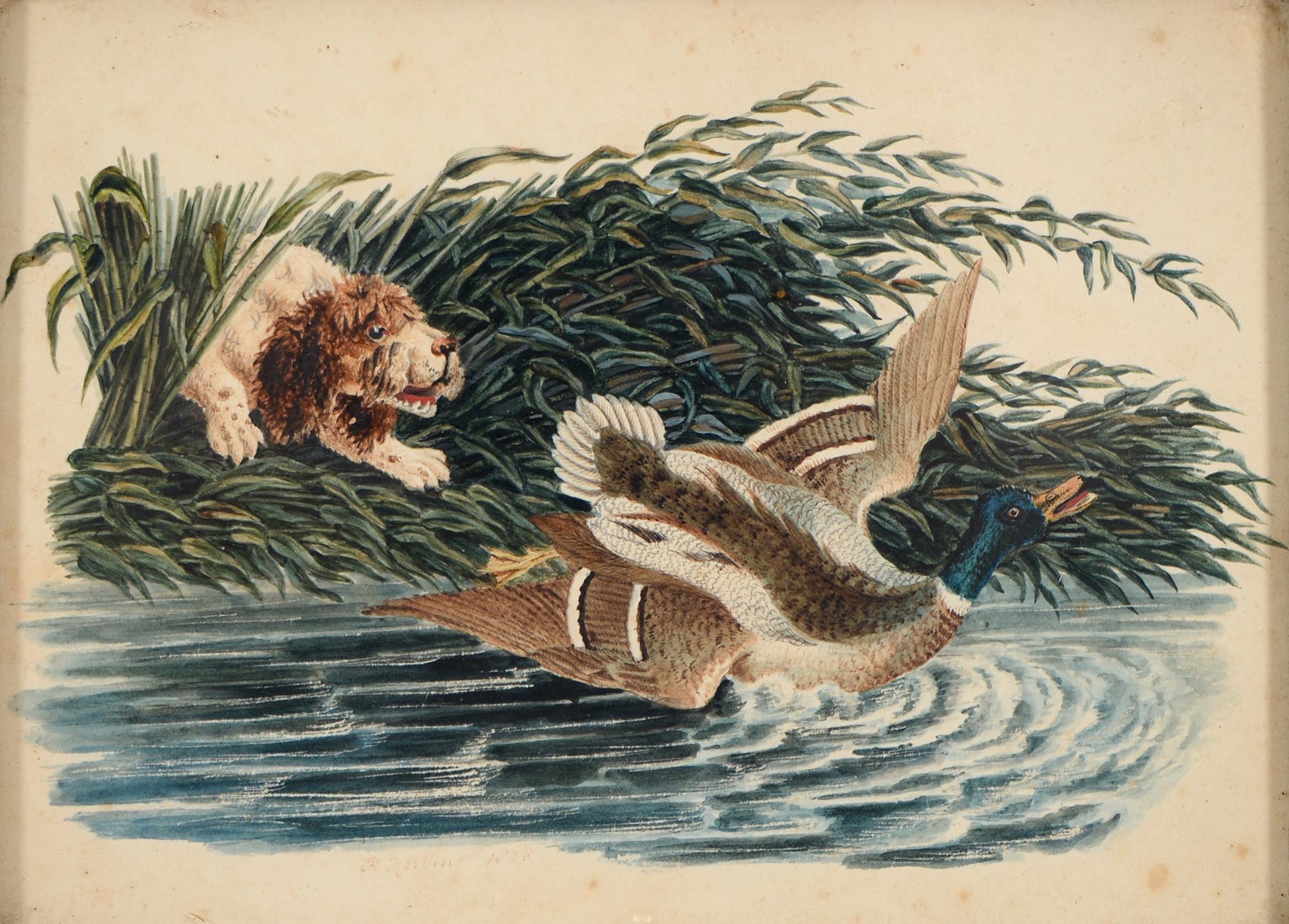 English School, 19th c - Spaniel Flushing a Mallard Drake, watercolour, 13 x 17.5cm Slightly