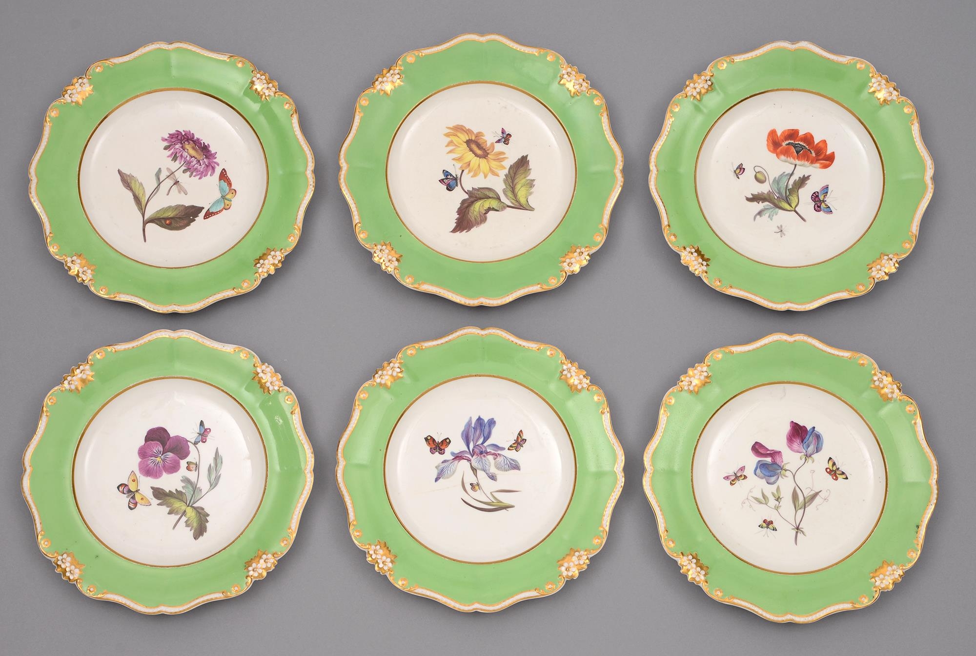 A set of six Derby botanical plates, c1825, each with a different painted specimen accompanied by