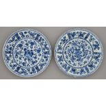 Two Chinese blue and white plates, Kangxi period, painted with flowers and birds in panelled