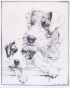 Edith Derry Willson, print of wire haired terriers.