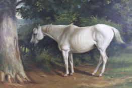 A c.1900 English Equine School, oil on canvas. A grey brood mare under a tree in a field.
