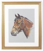 Debbie Harris, 21st century equine school, gouache, portrait of the horse 'Ferraor Amlas Actor.