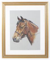 Debbie Harris, 21st century equine school, gouache, portrait of the horse 'Ferraor Amlas Actor.