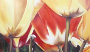 A large oil on canvas painting. Depicting tulips, framed.