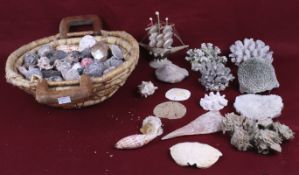 An assortment of vintage sea shells and corals. Contained in two baskets. Max.
