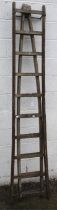 A vintage wooden window cleaner's two section ladder.
