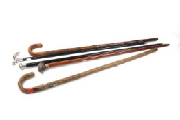 Five assorted walking sticks. Including one with an eagle head handle, etc. Max.