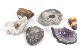A collection of fossils and minerals.