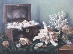 Constance Cooper (1868-1960), oil on canvas, 'Shells' still life on a table.