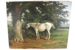 Circa 1900, English Equine School, oil on canvas, a grey brood mare under a tree in a field.