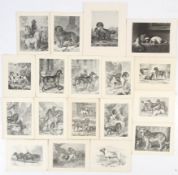 17 monochrome engravings from 'The Book of the Dog' and one larger after E Landseer titled 'The