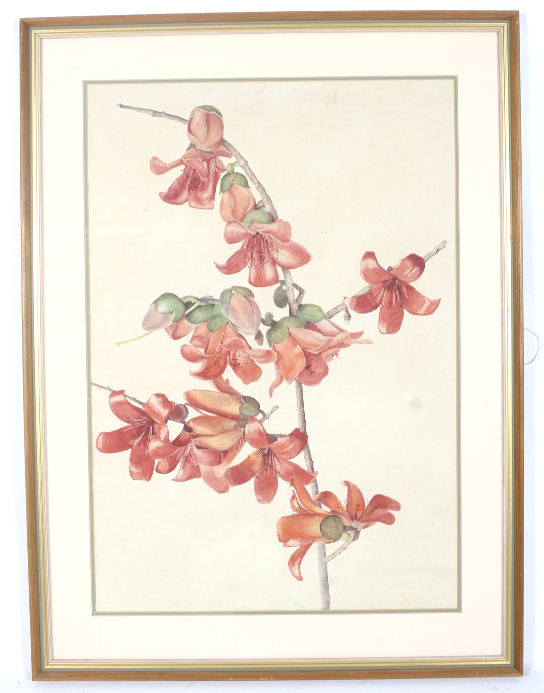 A large 20th century watercolour picture of 'flowering quince'. Unsigned. Framed and glazed. - Image 2 of 2