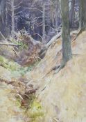 'A W' Arthur Wardle (1864-1949), watercolour, 'The fox bolt hole in the wood'.