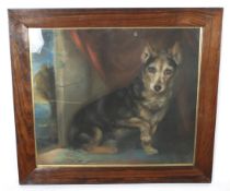 A circa 1900 Canine School, pastel, dog portrait.