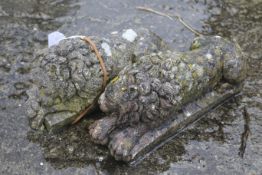 A pair of small reconstituted stone garden ornamental lions.