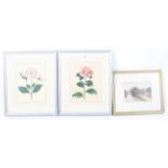 A pair of watercolours of flowers and a Victorian watercolour.