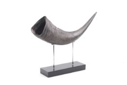 A single natural water buffalo horn. Supported on two chrome rods with a black rectangular plinth.
